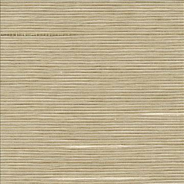 Boxwood Putty by Kasmir Fabric 5002 55% Cotton 45% Polyester TAIWAN 30,000 Wyzenbeek Double Rubs H: N/A, V: N/A 54 - 55 - Fabric Carolina - Kasmir