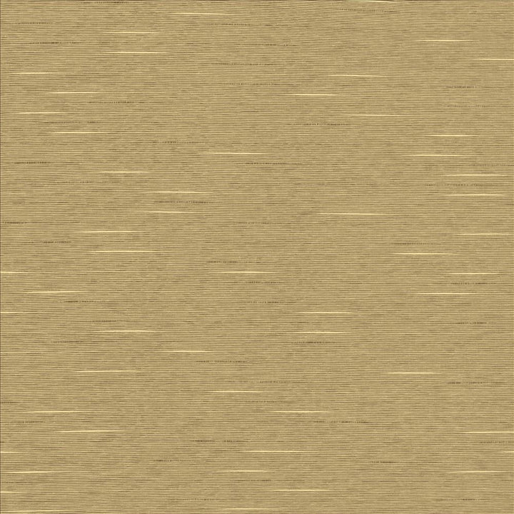 Boxwood Putty by Kasmir Fabric 5002 55% Cotton
45% Polyester
 TAIWAN 30,000 Wyzenbeek Double Rubs </p><p>Repeat: Horizontal: N/A and Vertical: N/A 54 - Fabric Carolina -