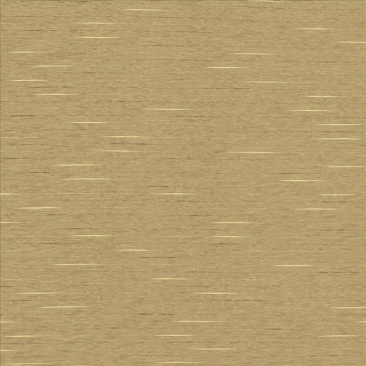 Boxwood Putty by Kasmir Fabric 5002 55% Cotton
45% Polyester
 TAIWAN </p><p>Repeat: Horizontal: N/A and Vertical: N/A 54 - 55 - Fabric Carolina -