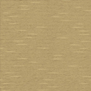 Symphony /D Putty  by Kasmir Fabric
