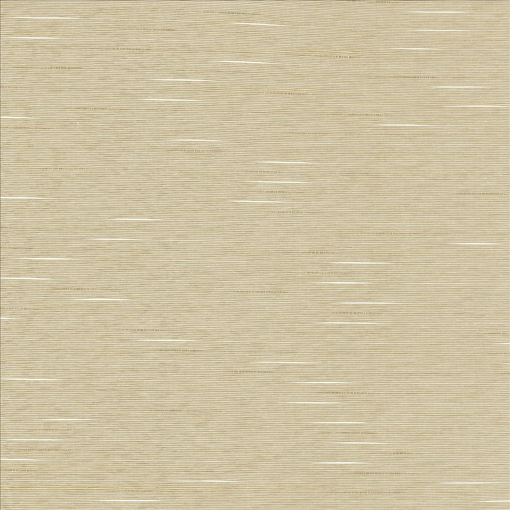Boxwood Quartz by Kasmir Fabric 5149 55% Cotton
45% Polyester
 TAIWAN </p><p>Repeat: Horizontal: N/A and Vertical: N/A 54 - 55 - Fabric Carolina -