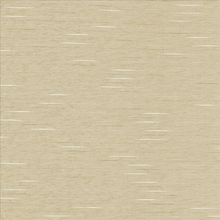 Boxwood Quartz by Kasmir Fabric 5149 55% Cotton
45% Polyester
 TAIWAN </p><p>Repeat: Horizontal: N/A and Vertical: N/A 54 - 55 - Fabric Carolina -