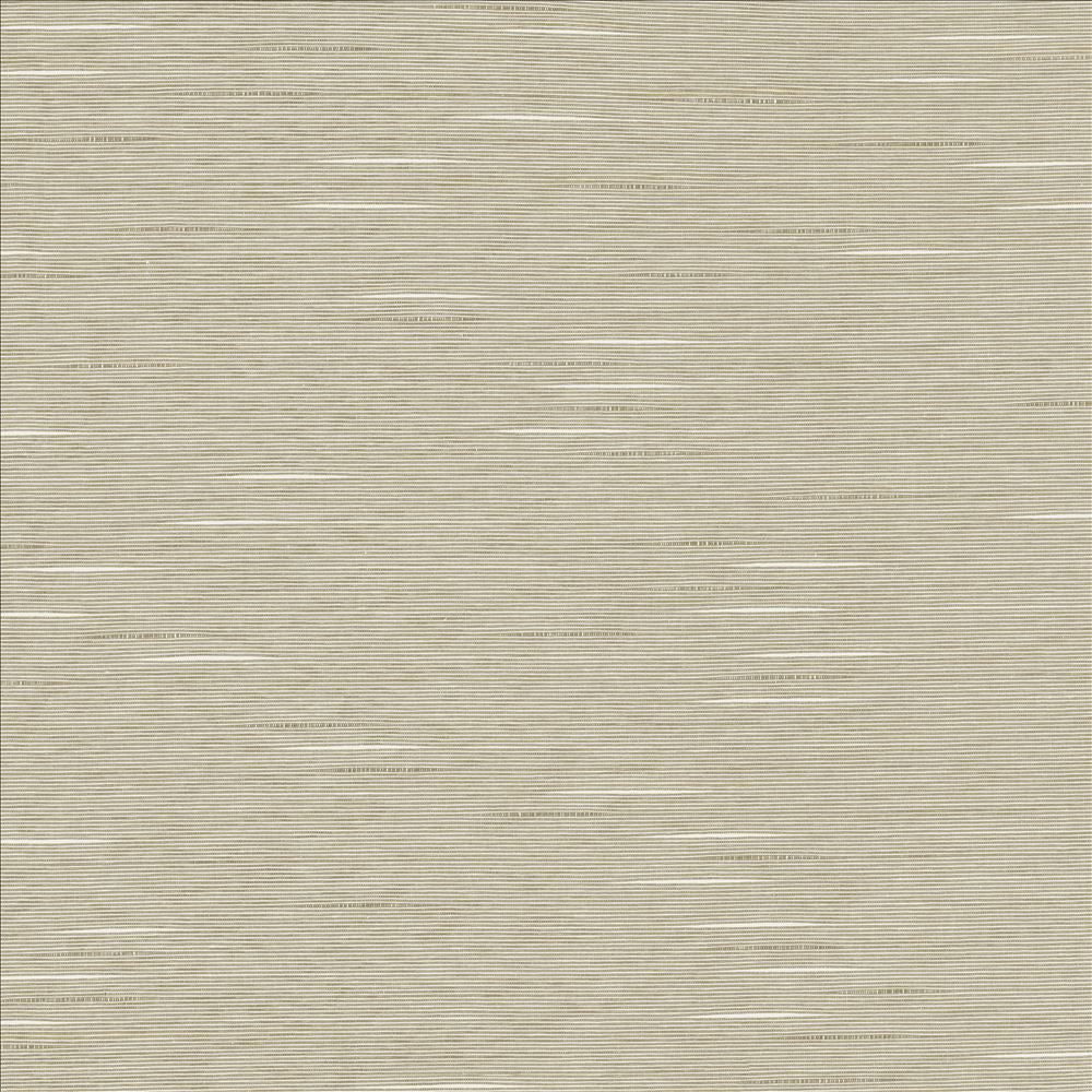 Boxwood Quartz by Kasmir Fabric 5149 55% Cotton
45% Polyester
 TAIWAN </p><p>Repeat: Horizontal: N/A and Vertical: N/A 54 - 55 - Fabric Carolina -