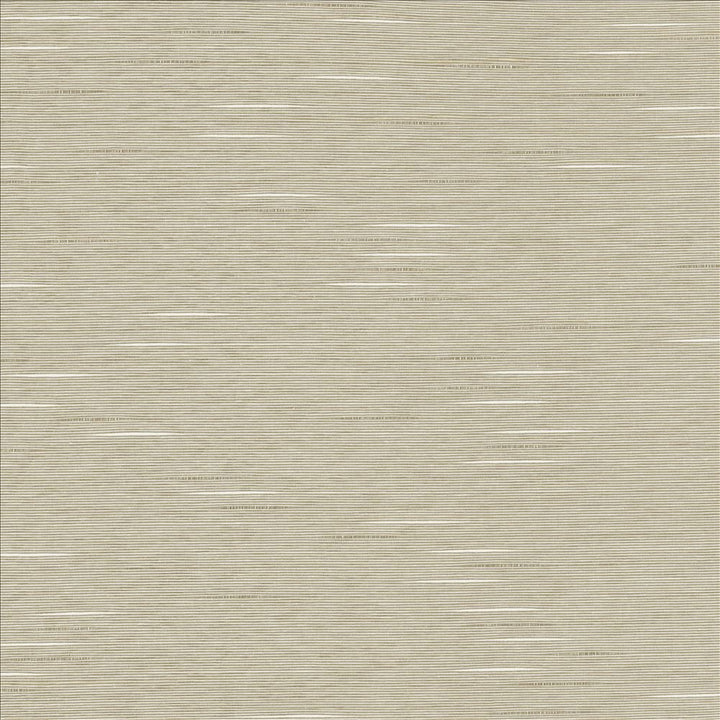 Boxwood Quartz by Kasmir Fabric 5149 55% Cotton
45% Polyester
 TAIWAN </p><p>Repeat: Horizontal: N/A and Vertical: N/A 54 - 55 - Fabric Carolina -