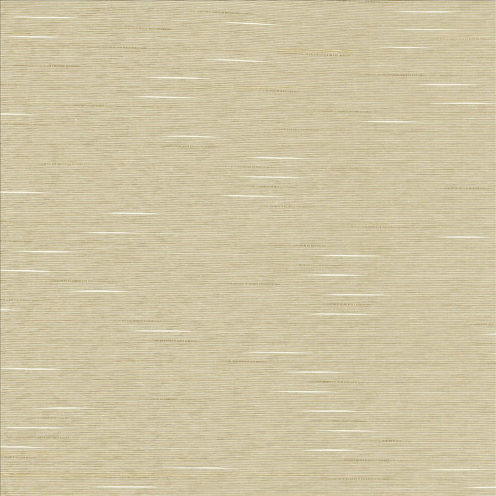 Boxwood Quartz by Kasmir Fabric 5149 55% Cotton
45% Polyester
 TAIWAN 30,000 Wyzenbeek Double Rubs Horizontal: N/A and Vertical: N/A 54 - Fabric Carolina -