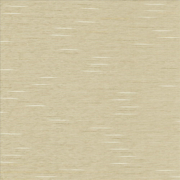 Boxwood Quartz by Kasmir Fabric 5149 55% Cotton
45% Polyester
 TAIWAN 30,000 Wyzenbeek Double Rubs Horizontal: N/A and Vertical: N/A 54 - Fabric Carolina -