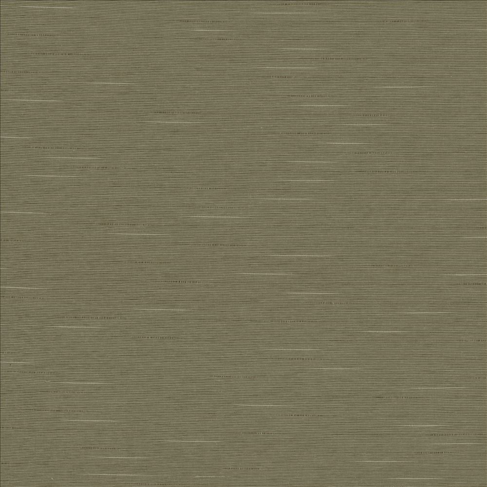 Boxwood Soapstone by Kasmir Fabric 5149 55% Cotton
45% Polyester
 TAIWAN </p><p>Repeat: Horizontal: N/A and Vertical: N/A 54 - 55 - Fabric Carolina -