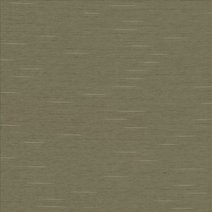 Boxwood Soapstone by Kasmir Fabric 5149 55% Cotton
45% Polyester
 TAIWAN </p><p>Repeat: Horizontal: N/A and Vertical: N/A 54 - 55 - Fabric Carolina -