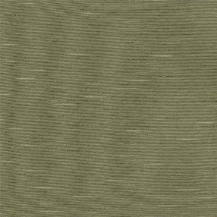 Boxwood Soapstone by Kasmir Fabric 5149 55% Cotton
45% Polyester
 TAIWAN 30,000 Wyzenbeek Double Rubs </p><p>Repeat: Horizontal: N/A and Vertical: N/A 54 - Fabric Carolina -
