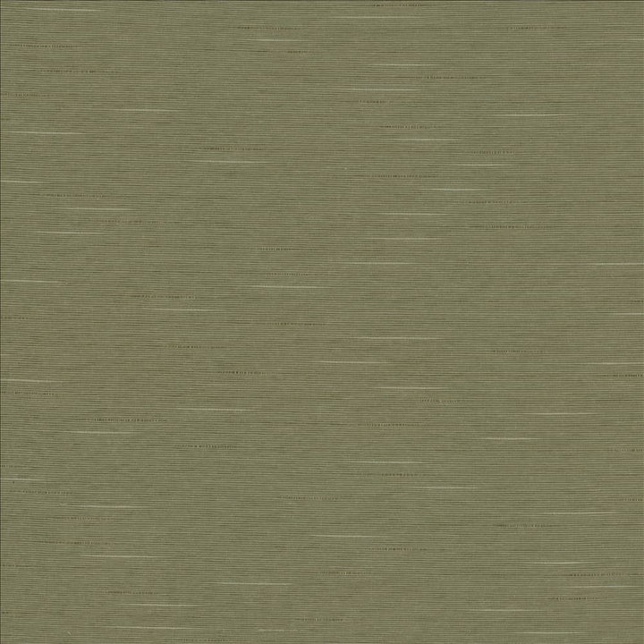 Boxwood Soapstone  by Kasmir Fabric See sample 55% Cotton
45% Polyester
 TAIWAN 30,000 Wyzenbeek Double Rubs </p><p>Repeat: Horizontal: N/A and Vertical: N/A 54  - Fabric Carolina -
