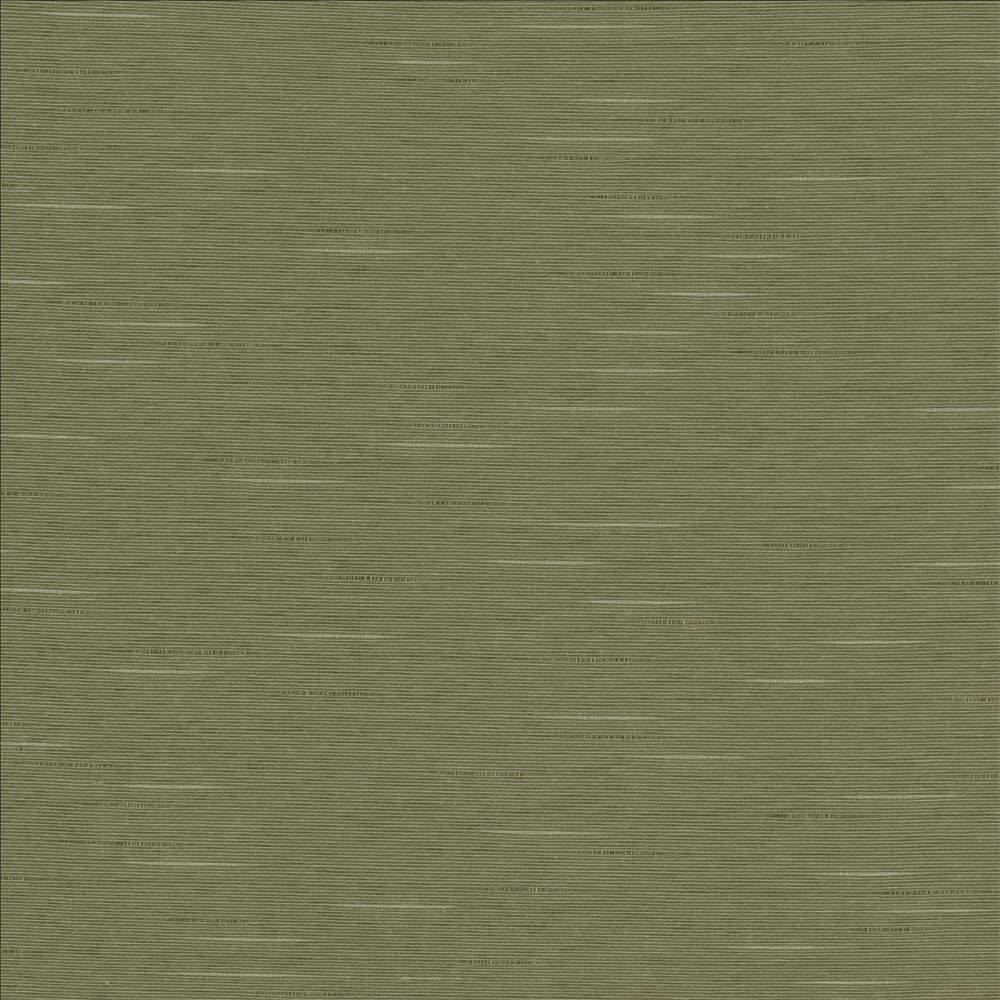 Boxwood Soapstone by Kasmir Fabric 5149 55% Cotton
45% Polyester
 TAIWAN </p><p>Repeat: Horizontal: N/A and Vertical: N/A 54 - 55 - Fabric Carolina -