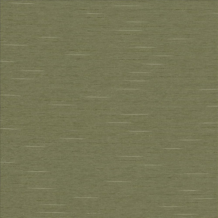 Boxwood Soapstone by Kasmir Fabric 5149 55% Cotton
45% Polyester
 TAIWAN </p><p>Repeat: Horizontal: N/A and Vertical: N/A 54 - 55 - Fabric Carolina -