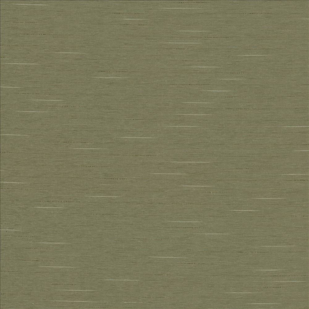 Boxwood Soapstone by Kasmir Fabric 5149 55% Cotton
45% Polyester
 TAIWAN 30,000 Wyzenbeek Double Rubs Horizontal: N/A and Vertical: N/A 54 - Fabric Carolina -
