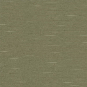 Boxwood Soapstone by Kasmir Fabric