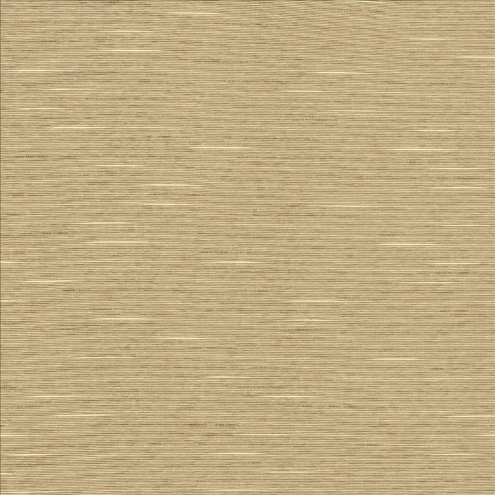 Boxwood Taupe by Kasmir Fabric 5149 55% Cotton
45% Polyester
 TAIWAN 30,000 Wyzenbeek Double Rubs </p><p>Repeat: Horizontal: N/A and Vertical: N/A 54 - Fabric Carolina -