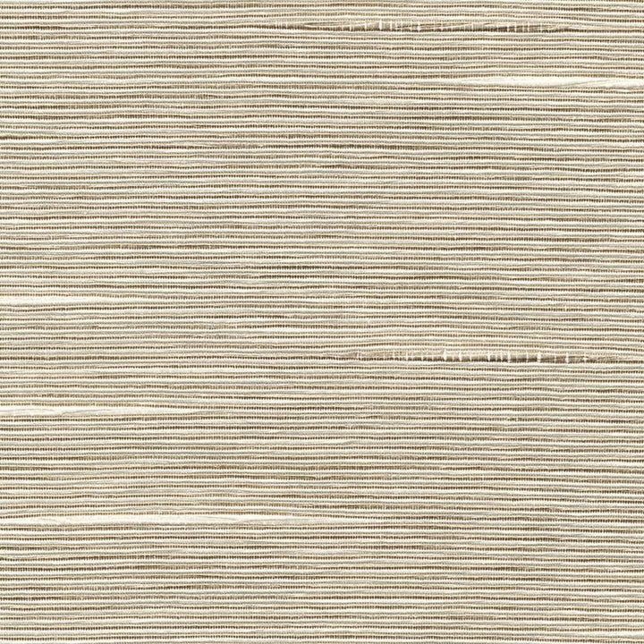 Boxwood Taupe by Kasmir Fabric 5002 55% Cotton 45% Polyester TAIWAN 30,000 Wyzenbeek Double Rubs H: N/A, V:N/A 54 - 55 - Fabric Carolina - Kasmir