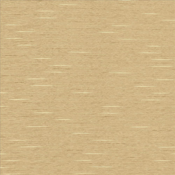 Boxwood Taupe by Kasmir Fabric 5002 55% Cotton
45% Polyester
 TAIWAN </p><p>Repeat: Horizontal: N/A and Vertical: N/A 54 - 55 - Fabric Carolina -