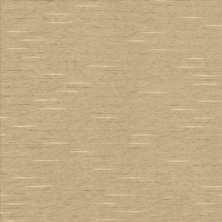 Boxwood Taupe by Kasmir Fabric 1319 55% Cotton
45% Polyester
 TAIWAN </p><p>Repeat: Horizontal: N/A and Vertical: N/A 54 - 55 - Fabric Carolina -