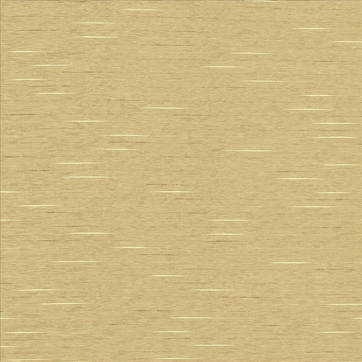 Boxwood Taupe by Kasmir Fabric 5149 55% Cotton 45% Polyester TAIWAN 30,000 Wyzenbeek Double Rubs Horizontal: 0 Inches and Vertical: 0 Inches 54 - 55 - Fabric Carolina -