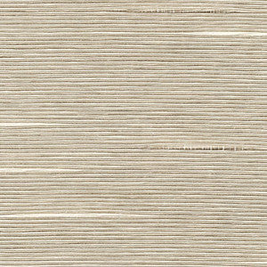 Boxwood Taupe by Kasmir Fabric