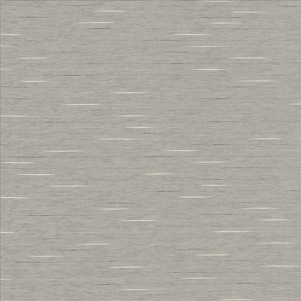 Boxwood Vapor by Kasmir Fabric 5149 55% Cotton
45% Polyester
 TAIWAN </p><p>Repeat: Horizontal: N/A and Vertical: N/A 54 - 55 - Fabric Carolina -