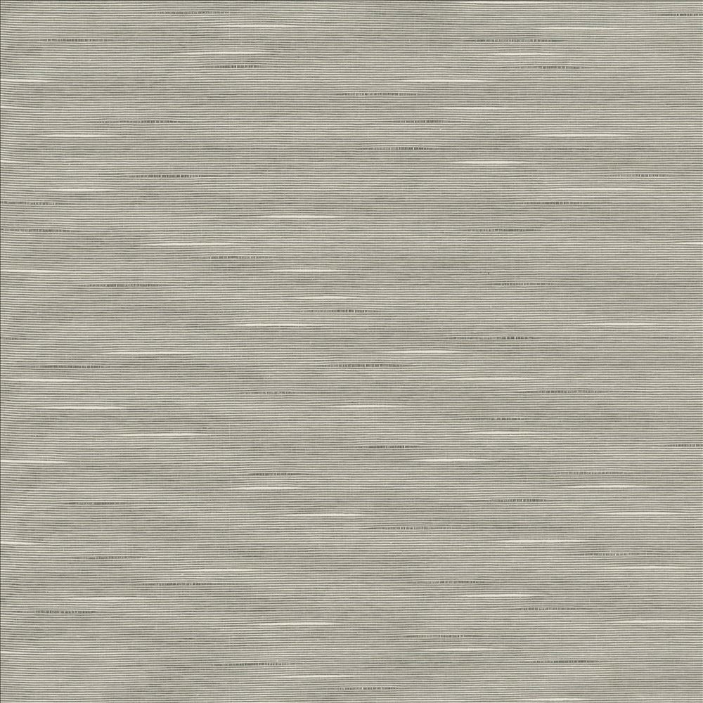 Boxwood Vapor by Kasmir Fabric 5149 55% Cotton 45% Polyester TAIWAN 30,000 Wyzenbeek Double Rubs Horizontal: 0 Inches and Vertical: 0 Inches 54 - 55 - Fabric Carolina -