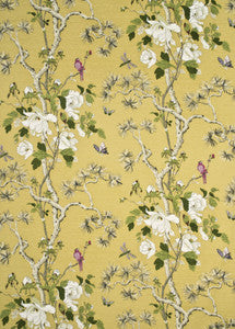 Tree Peony Strong Yellow/Ivory by G P & J Baker Fabric