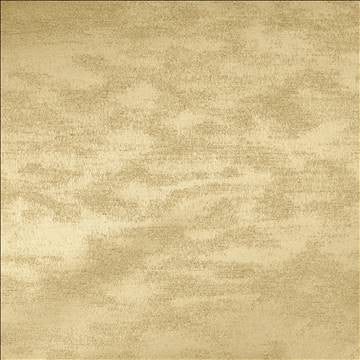 Braccio Bone by Kasmir Fabric 5126 100% Polyester INDIA 30,000 Wyzenbeek Double Rubs H: N/A, V: N/A 54 - Fabric Carolina - Kasmir