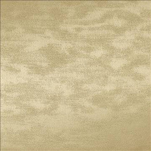 Braccio Chai by Kasmir Fabric