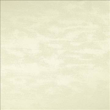 Braccio Cream by Kasmir Fabric 5126 100% Polyester INDIA 30,000 Wyzenbeek Double Rubs H: N/A, V: N/A 54 - Fabric Carolina - Kasmir