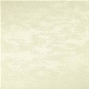 Braccio Cream by Kasmir Fabric