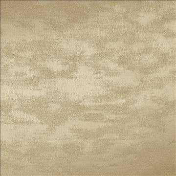 Braccio Fog by Kasmir Fabric 5126 100% Polyester INDIA 30,000 Wyzenbeek Double Rubs H: N/A, V: N/A 54 - Fabric Carolina - Kasmir