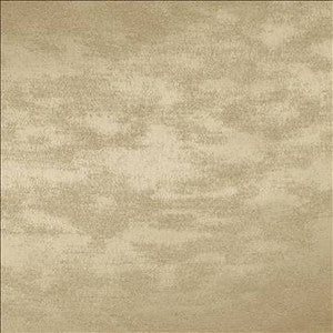 Braccio Fog by Kasmir Fabric