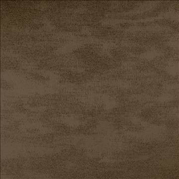 Braccio Latte by Kasmir Fabric 5126 100% Polyester INDIA 30,000 Wyzenbeek Double Rubs H: N/A, V: N/A 54 - Fabric Carolina - Kasmir