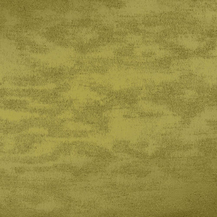 Braccio Leaf by Kasmir Fabric 5126 100% Polyester
 INDIA </p><p>Repeat: Horizontal: N/A and Vertical: N/A 54 - Fabric Carolina -