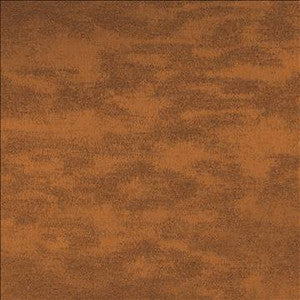 Braccio Rustic by Kasmir Fabric