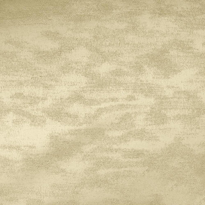 Braccio Taupe by Kasmir Fabric 5126 100% Polyester
 INDIA </p><p>Repeat: Horizontal: N/A and Vertical: N/A 54 - Fabric Carolina -