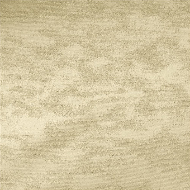 Braccio Taupe by Kasmir Fabric 5126 100% Polyester
 INDIA </p><p>Repeat: Horizontal: N/A and Vertical: N/A 54 - Fabric Carolina -