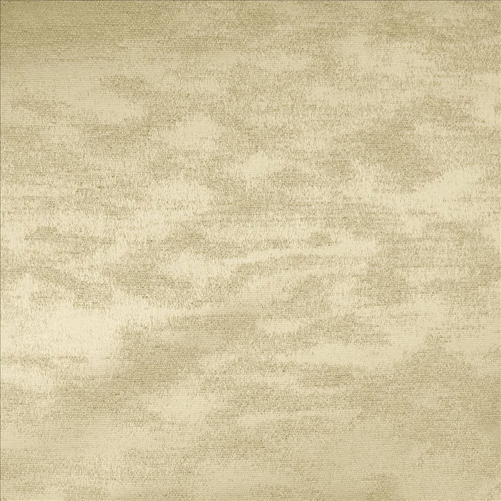 Braccio Taupe by Kasmir Fabric 5126 100% Polyester
 INDIA 30,000 Wyzenbeek Double Rubs Horizontal: N/A and Vertical: N/A 54 - Fabric Carolina -