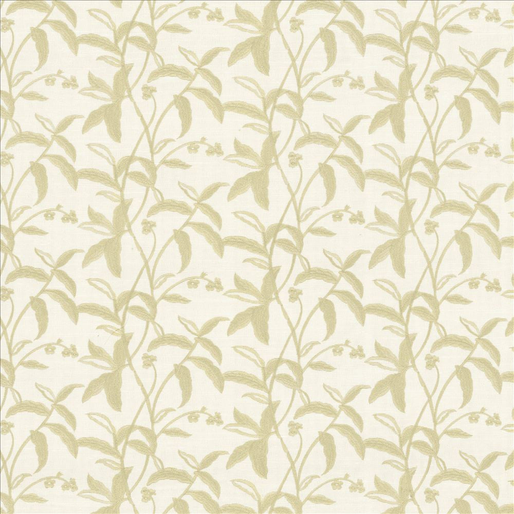 Braden Birch by Kasmir Fabric 5156 100% Polyester INDIA 30,000 Wyzenbeek Double Rubs Horizontal: 17 2/8 inches and Vertical: 9 inches 55 - Fabric Carolina -