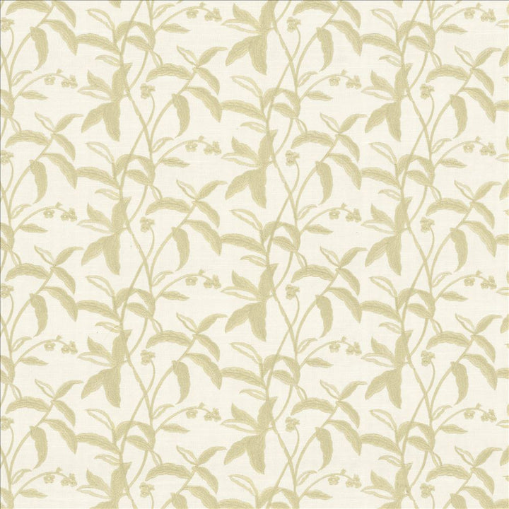 Braden Birch by Kasmir Fabric 5156 100% Polyester INDIA 30,000 Wyzenbeek Double Rubs Horizontal: 17 2/8 inches and Vertical: 9 inches 55 - Fabric Carolina -