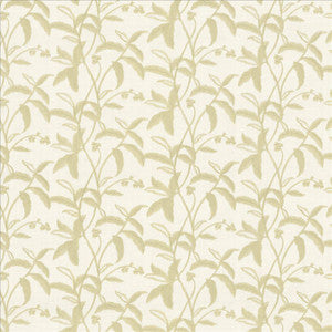 Braden Birch by Kasmir Fabric