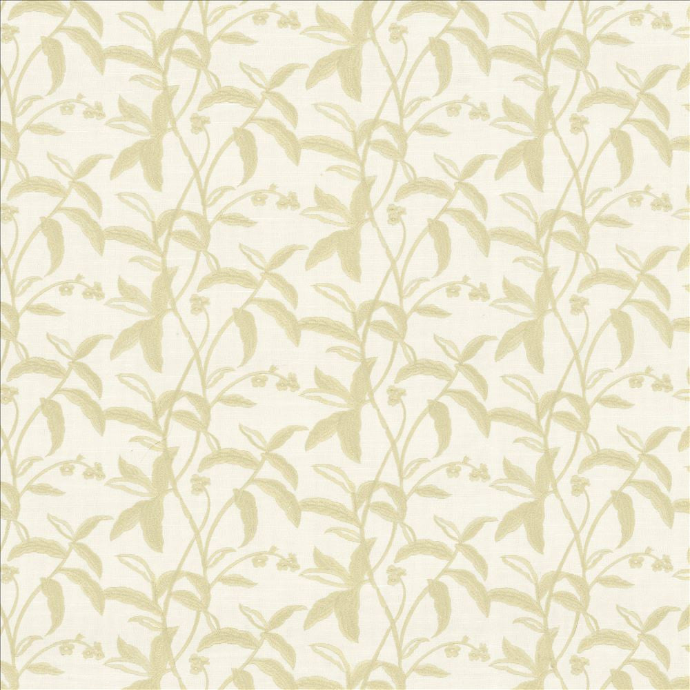 Braden Birch by Kasmir Fabric 5156 100% Polyester
 INDIA 30,000 Wyzenbeek Double Rubs Horizontal: 17 2/8 inches and Vertical: 9 inches 55 - Fabric Carolina -