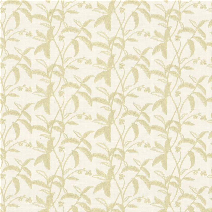 Braden Birch by Kasmir Fabric 5156 100% Polyester
 INDIA 30,000 Wyzenbeek Double Rubs Horizontal: 17 2/8 inches and Vertical: 9 inches 55 - Fabric Carolina -