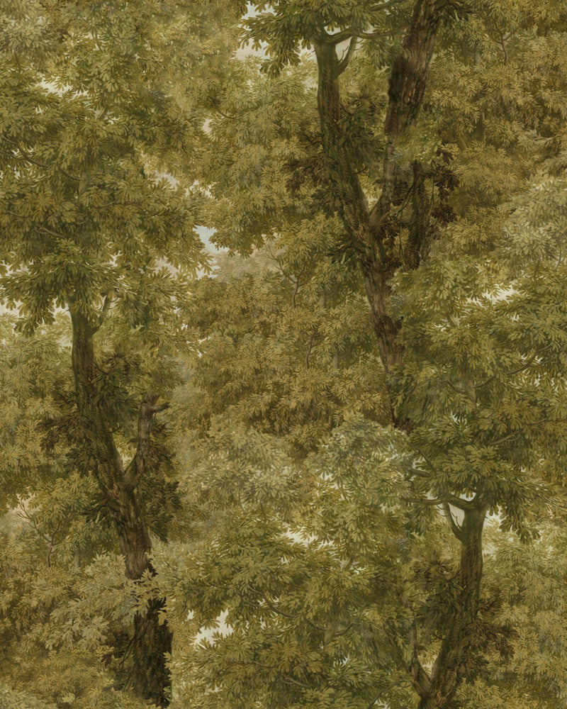 BRANCHY Autumn Wallpaper (WP20784) by Mind The Gap | WP20784 | ORIENT EXPRESS | 3 rolls x 20.5 x 118.1 in | 0.52m / 20.5in | 3m / 118in | 4.68mp | 150cm / 59in | Brown, Green, Ivory | Non-woven | Paste the wall | 3-rolls in a box | Fabric Carolina | https://www.fabriccarolina.com/
