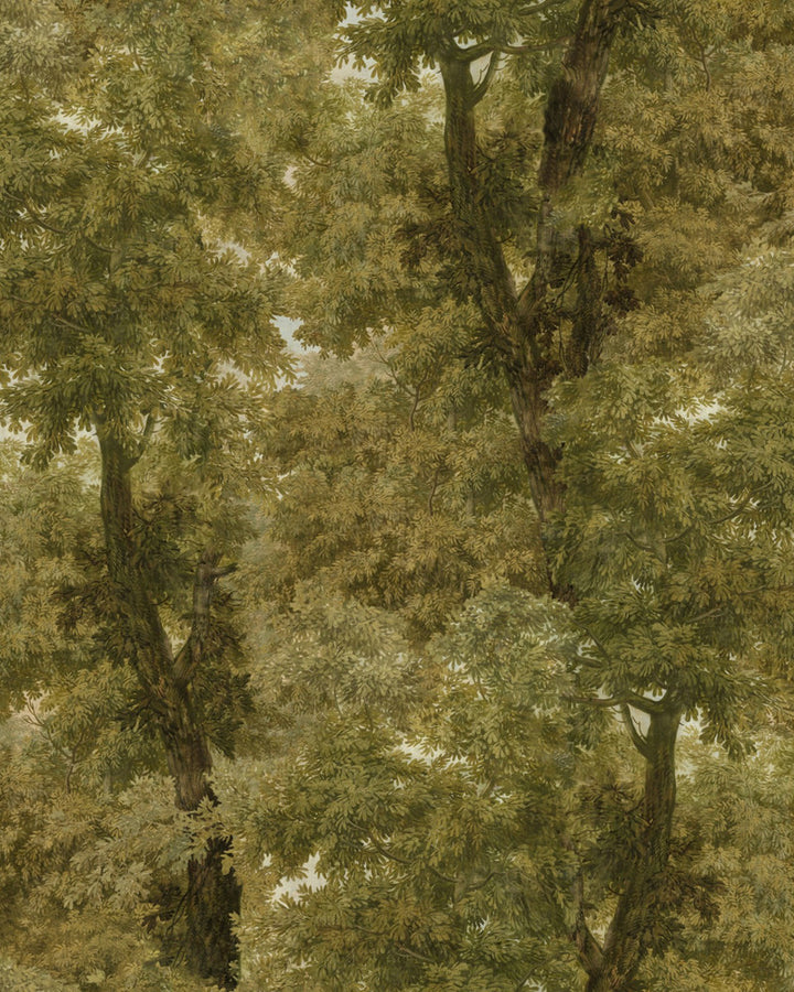 BRANCHY Autumn Wallpaper (WP20784) by Mind The Gap | WP20784 | ORIENT EXPRESS | 3 rolls x 20.5 x 118.1 in | 0.52m / 20.5in | 3m / 118in | 4.68mp | 150cm / 59in | Brown, Green, Ivory | Non-woven | Paste the wall | 3-rolls in a box | Fabric Carolina | https://www.fabriccarolina.com/