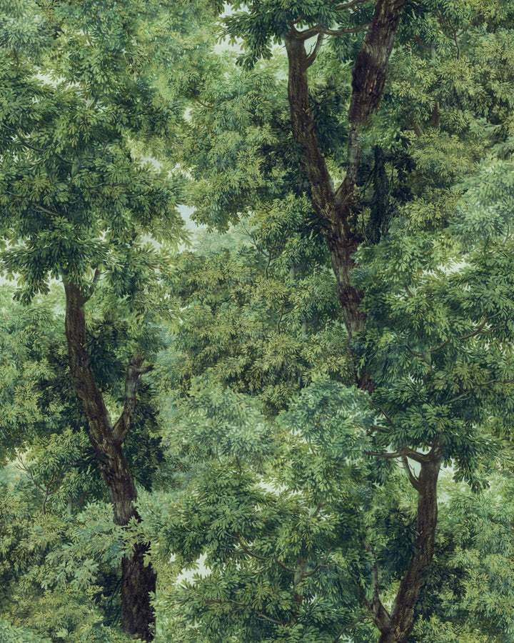 BRANCHY Meadow Green Wallpaper (WP20785) by Mind The Gap | WP20785 | ORIENT EXPRESS | 3 rolls x 20.5 x 118.1 in | 0.52m / 20.5in | 3m / 118in | 4.68mp | 150cm / 59in | Brown, Green, Ivory | Non-woven | Paste the wall | 3-rolls in a box | Fabric Carolina | https://www.fabriccarolina.com/