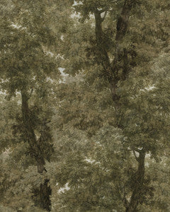 BRANCHY Neutral Wallpaper (WP20786) by Mind The Gap