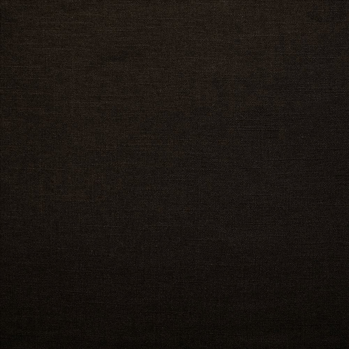 Brandenburg Black by Kasmir Fabric 5178 55% Linen
45% Viscose
 CHINA 12,000 Wyzenbeek Double Rubs </p><p>Repeat: Horizontal: N/A and Vertical: N/A 54 - Fabric Carolina -
