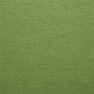 Brandenburg Kelly Green by Kasmir Fabric